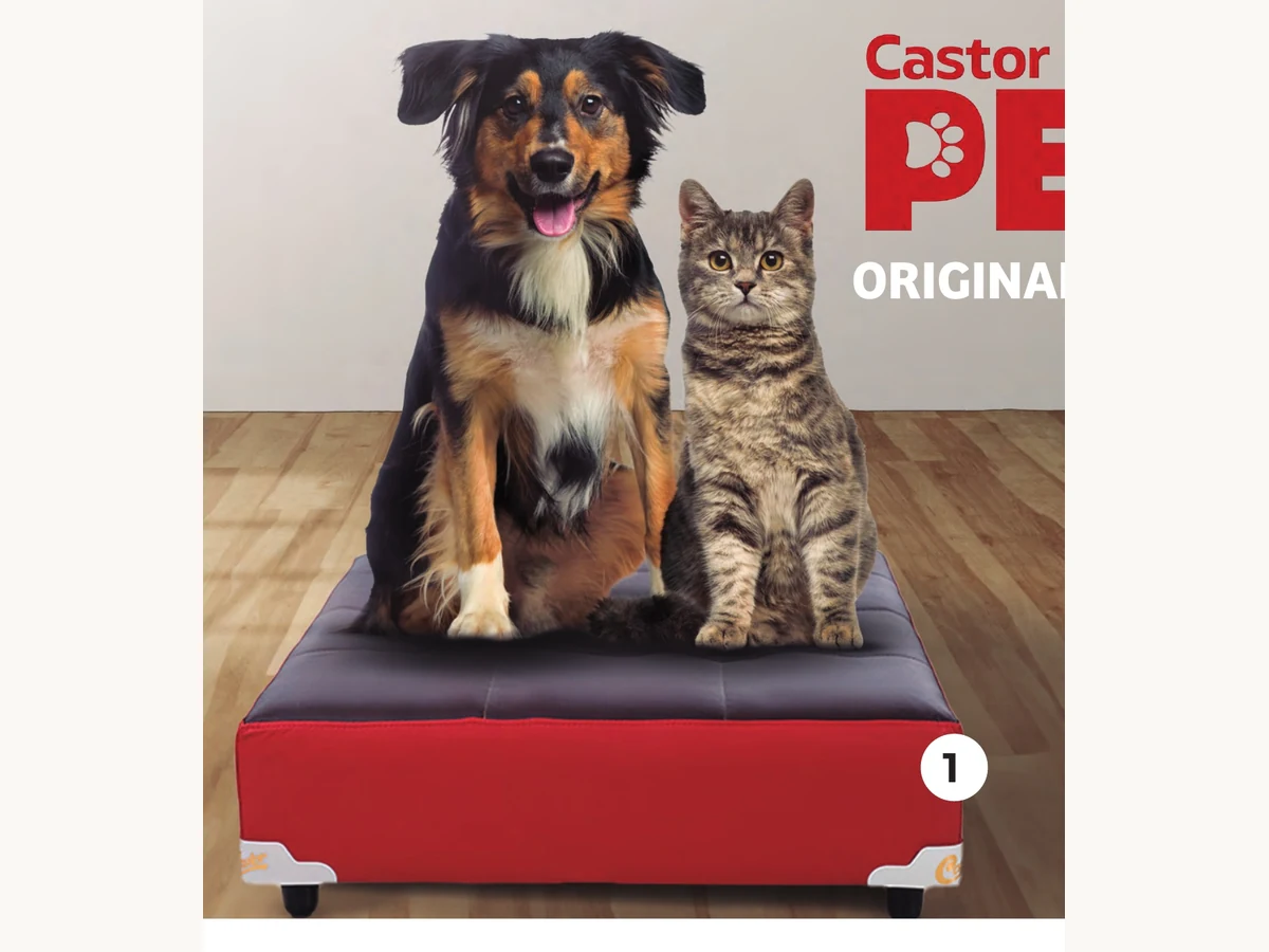 Castor Pet Original no catálogo Castor de móveis e estofados