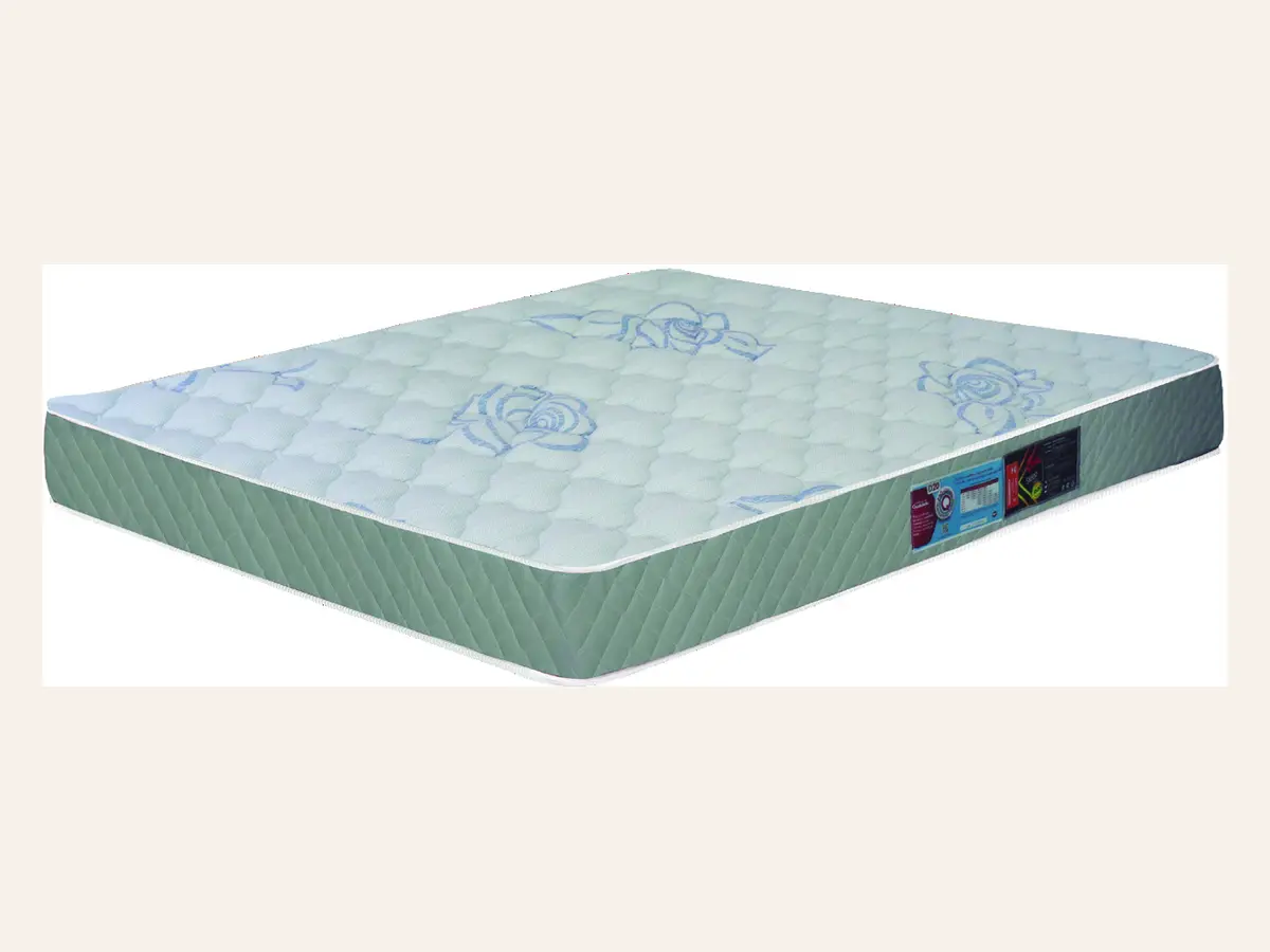 Sleep Max New D20 da Castor